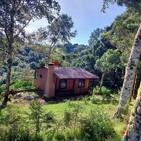 Las Bromelias Lodge Paso Macho Exterior photo