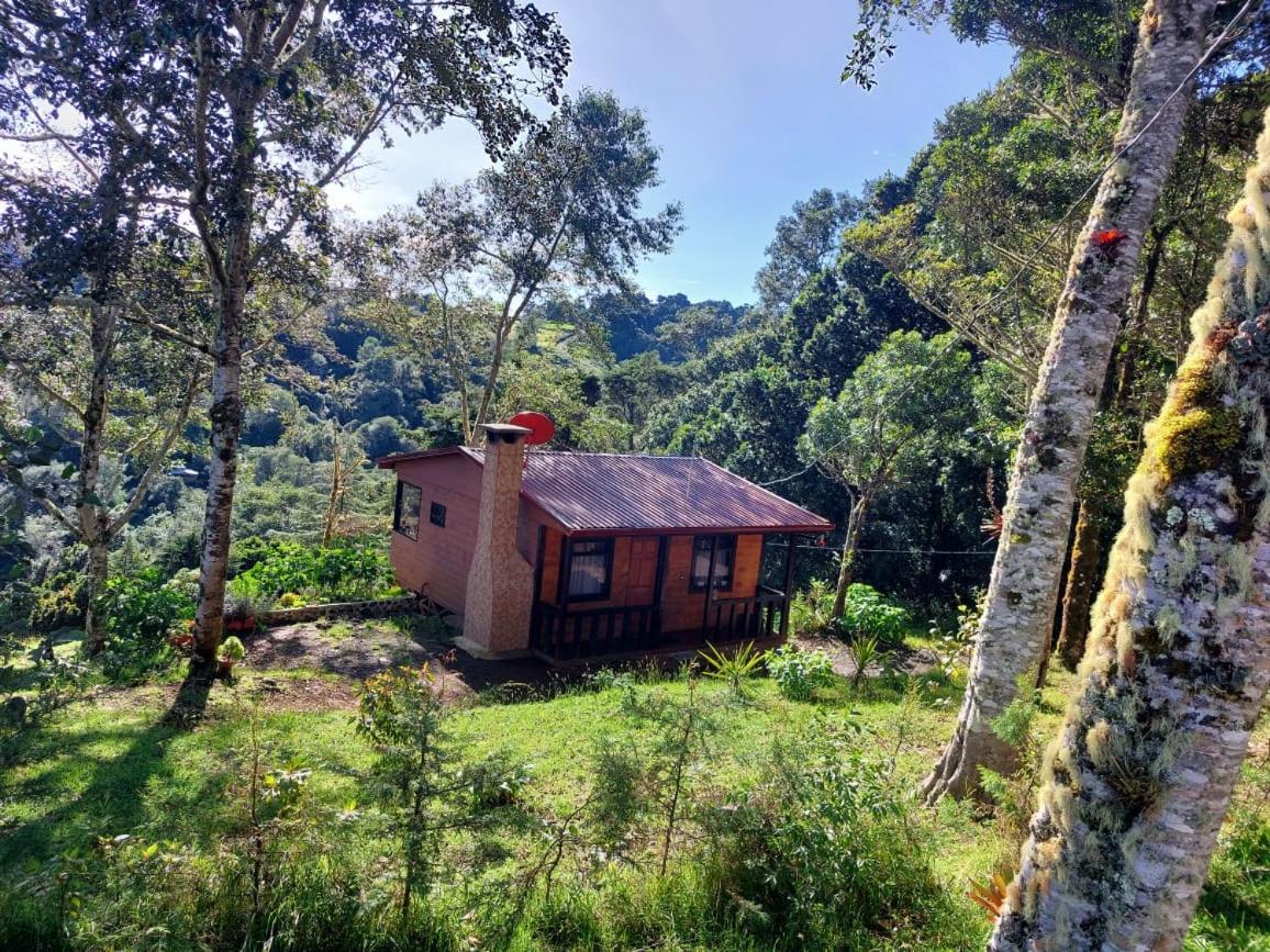 Las Bromelias Lodge Paso Macho Exterior photo