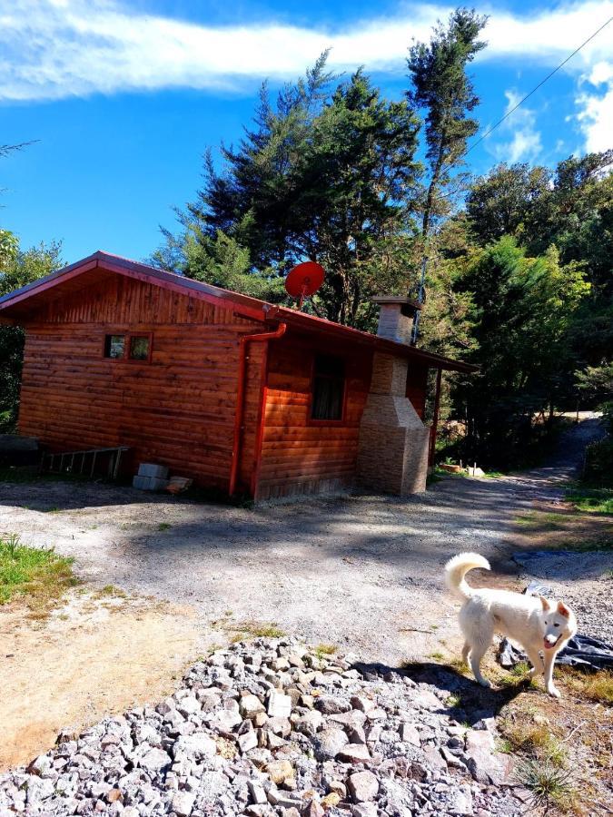 Las Bromelias Lodge Paso Macho Exterior photo